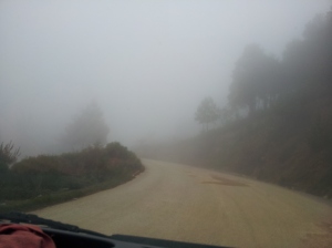 Neblina en la Sierra Negra de Tehuacán